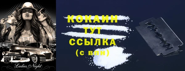 прущий лед Богданович